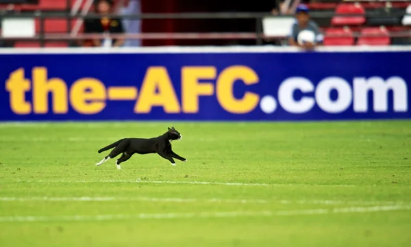 Afc-U-16-Meisterschaft zwischen der Republik Korea und Malaysia — Stockfoto