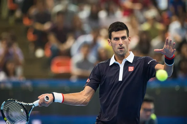 Novak Djokovic sergi tenis maçı