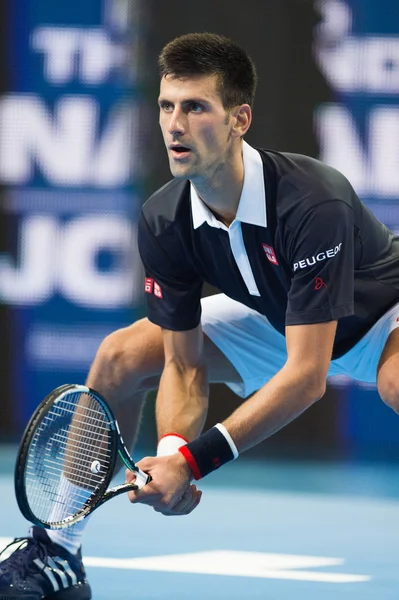 Novak Djokovic sergi tenis maçı