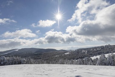 Kar ormanlarında gün doğumu