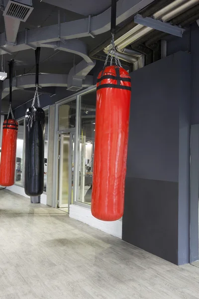 Punching bags in gym — Stock Photo, Image