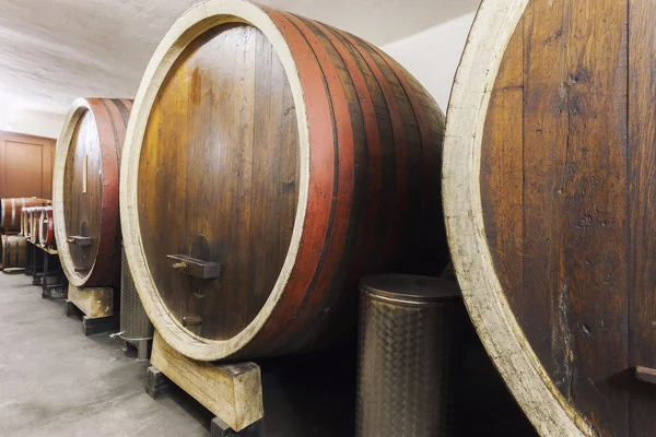 Barrels in a wine cellar — Stock Photo, Image