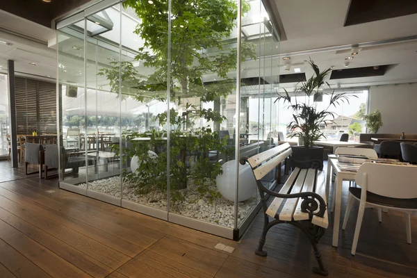 Beautiful cafe interior with tree — Stock Photo, Image