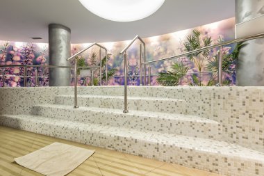 Spa Hidroterapi Havuzu iç