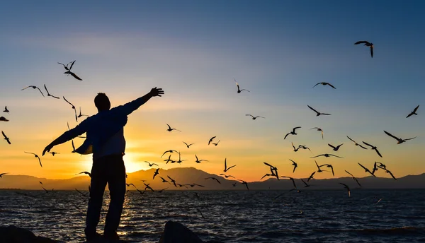 Give bread to seagulls — Stock Photo, Image