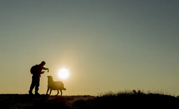 sunrise dog love and Share dog bread