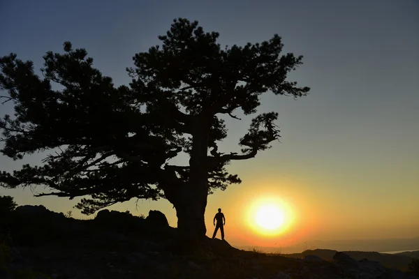 Äventyr toppmötet vid soluppgången; rikta Sunrise passion — Stockfoto