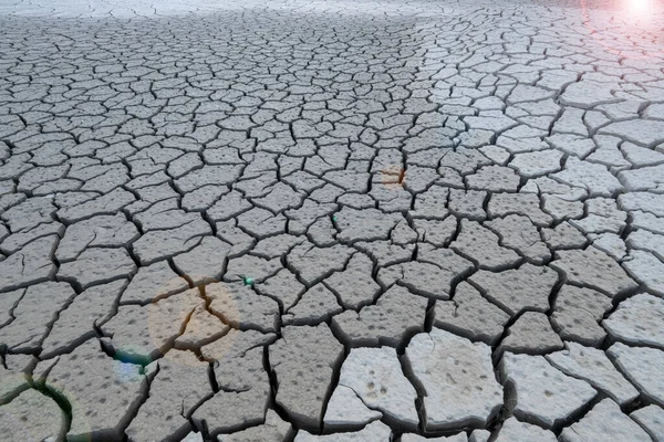 global climate effects, the effects of drought, desertification and soil pollution on the world