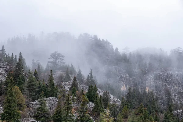 Niebla Místico Paisaje Después Lluvia Las Montañas —  Fotos de Stock