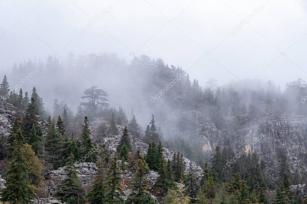 foggy and mystical landscape after rain in the mountains