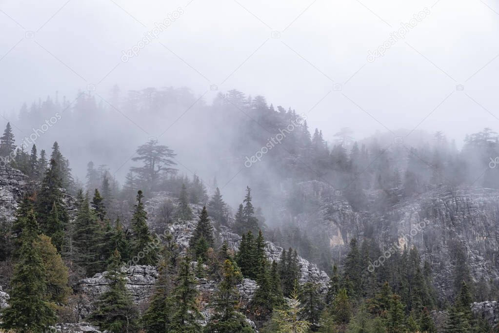 foggy and mystical landscape after rain in the mountains