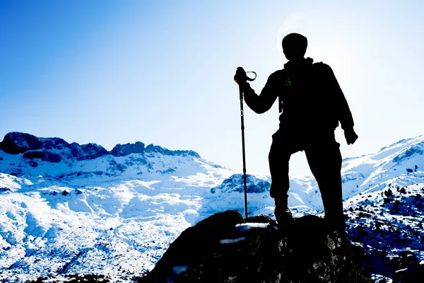 Ehrenwerter Und Stolzer Professioneller Bergsteiger Haltung Und Zielerfolg — Stockfoto