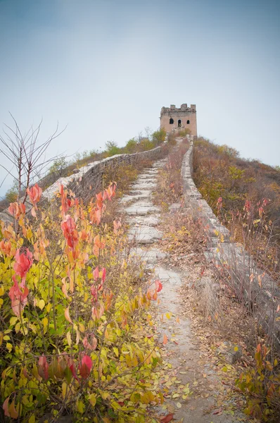 中国の万里の長城 — ストック写真