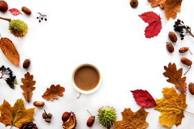 Sonbahar kompozisyonu. Kurumuş yapraklardan, dallardan, kozalaklardan, böğürtlenlerden, meşe palamutlarından ve beyaz arka planda bir fincan kahveyle yapılmış bir çerçeve. Şablon uydurma, cadılar bayramı. Düz konum, boşluk arkaplanı kopyala.