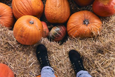 Çiftlik pazarındaki samanlıkta en iyi çizme manzarası. Kotlu bacaklar, Şükran Günü tatilinde ayakkabılar ve Cadılar Bayramı dekoru..