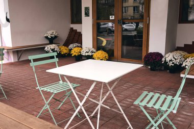 Çiçekçide beyaz, pembe, kırmızı veya sarı kasımpatı bitkileri çiçek açar. Burgundy Chrysanthemums bahçesi ya da açık hava parkı. Sonbahar dekorasyonları.