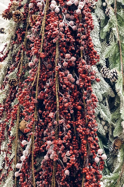 Christmas Holiday Decorations Christmas Fir Tree Brunch Red Berries Cones — Stock Photo, Image