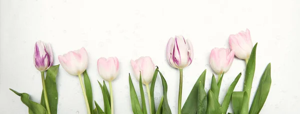 Весняний Квітковий Фон Місцем Копіювання Плоский Каркас Тюльпанів Квітуть Квіти Стокова Картинка