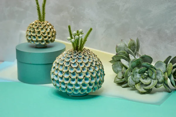 Vase Décoratif Céramique Bel Arrangement Floral Plantes Succulentes Cactus Pot — Photo