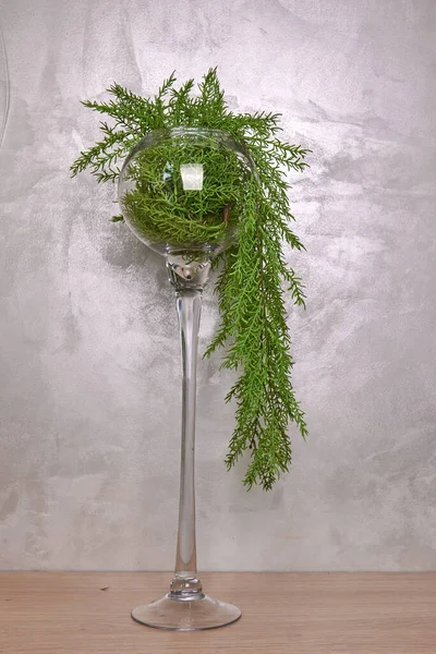 Διακοσμητικό Κεραμικό Βάζο Όμορφη Ανθοσυνθέσεις Από Τεχνητό Φυτό Γλάστρα Ανοιχτό — Φωτογραφία Αρχείου
