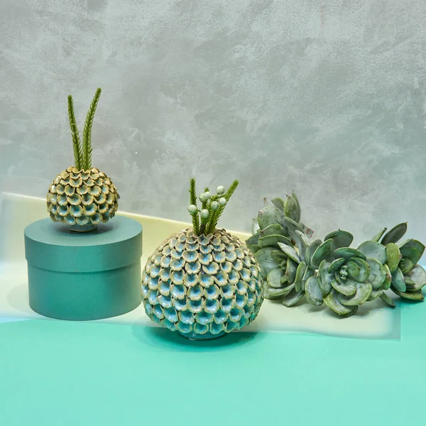 Vase Décoratif Céramique Bel Arrangement Floral Plantes Succulentes Cactus Pot — Photo
