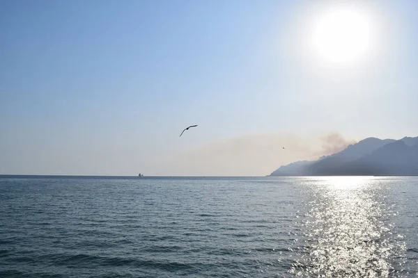 Denizde yansıyan güneşli deniz manzarası