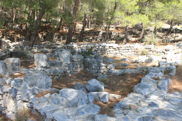 Priene ruins of an ancient antique city