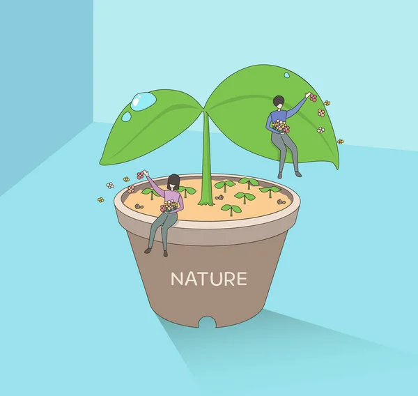 Damlalarıyla Yeşil Filizler Kabın Içinde Açıyor Insanlar Doğayı Uçan Çiçekleri — Stok Vektör