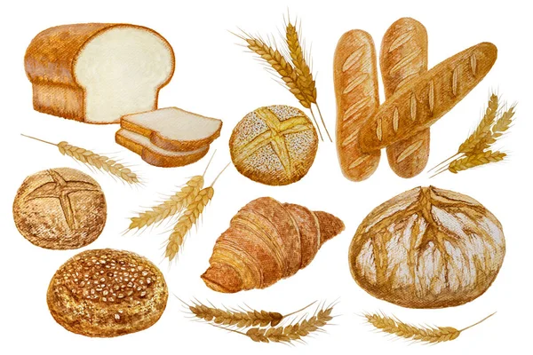 Ekmek ve tost fırını resimleme, suluboya el resmi izole edilmiş, kesme yolu ile beyaz arka planda kesilmiş