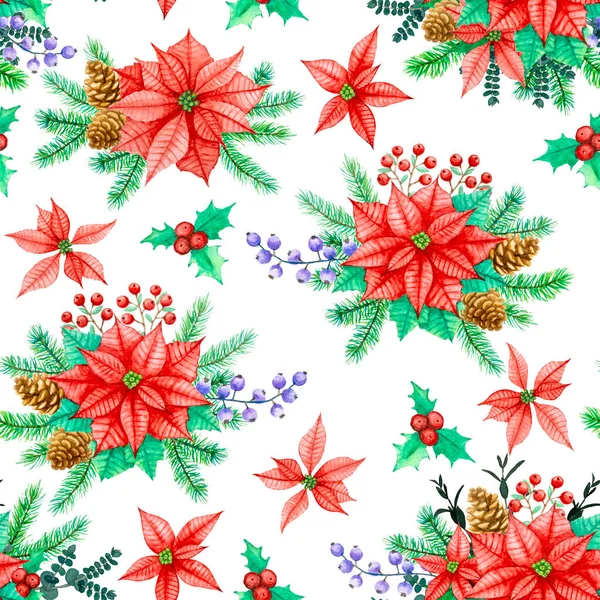 Kırmızı Poinsettia yıldız çiçeği, kutsal meyve, çam kozalakları ve yapraklar için kusursuz desen, beyaz arka planda çizilmiş suluboya el çizimi, kırpma yolu ile izole edilmiş.