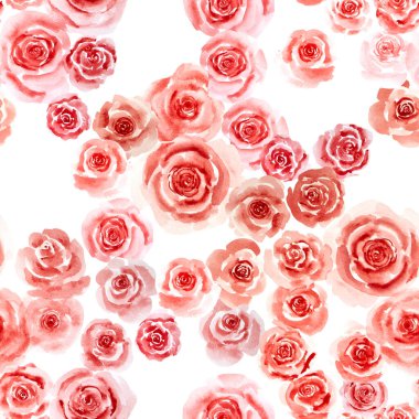 Kırmızı güllerin kusursuz deseni, suluboya el boyası resim yumrukları sevgililer günü çiçekleri beyaz arka planda, izole ve kırpma yolunda çiçek açıyor.