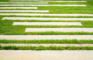 Gri renkli merdiven döşemeleri, çıplak çizgi beton kaldırımlar ve bahçede yeşil çimen halı çimenliği.