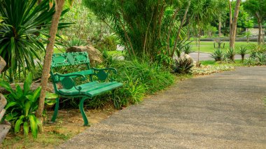 Bahçedeki boş ahşap ve çelik tezgah yürüyüş yolunun ve yeşil ağaçların altındaki tropikal çiçeklerin yanında.