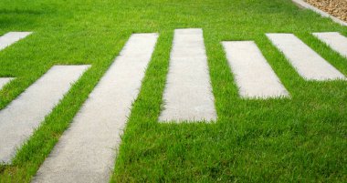 Gri renkli merdiven döşemeleri, çıplak çizgi beton kaldırımlar ve bahçede yeşil çimen halı çimenliği.