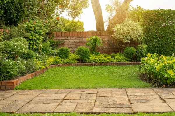 Cour Arrière Avant Jardin Cottage Anglais Pelouse Verte Lisse Plante — Photo