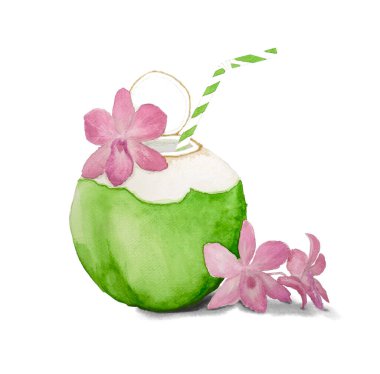 Hindistancevizi suyu yeşil meyve ağacı bitkisi ve pembe orkide çiçeği içerek, beyaz arka planda izole edilmiş suluboya el çizimi ve kırpma yolu