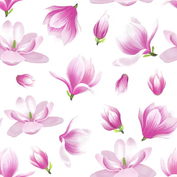 Pink Magnolia Flower Blossom Seamless Pattern White Background Illustration Petals — Stock Photo, Image