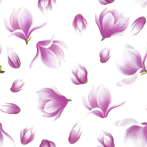 Pink Magnolia Flower Blossom Seamless Pattern White Background Illustration Petals — Stock Photo, Image