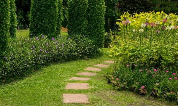 Trittsteg Kleinen Garten Begrünt Sträucher Und Blumen — Stockfoto