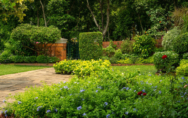 Задний и передний двор коттеджный сад, цветущее растение и зеленая трава газон, коричневый тротуар и оранжевый кирпич стены, вечнозеленые деревья на заднем плане, в хорошем уходе благоустройство в парке 