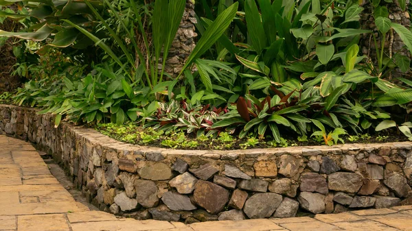 Jardín Interior Decorado Con Pavimento Arenisca Pared Ladrillo Piedra Contenedor — Foto de Stock