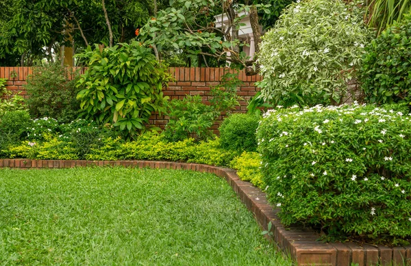 Zurück Und Vorgarten Hüttengarten Blühende Pflanze Und Grünes Gras Rasen — Stockfoto