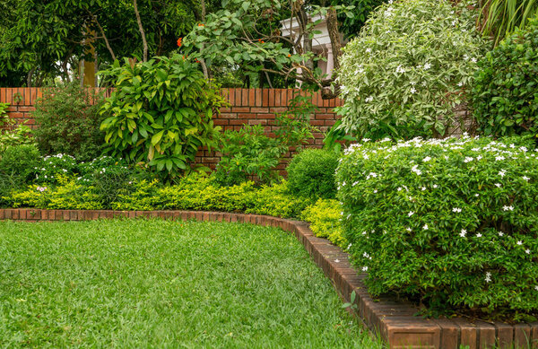 Задний и передний двор коттеджный сад, цветущее растение и зеленая трава газон, коричневый тротуар и оранжевый кирпич стены, вечнозеленые деревья на заднем плане, в хорошем уходе благоустройство в парке 
