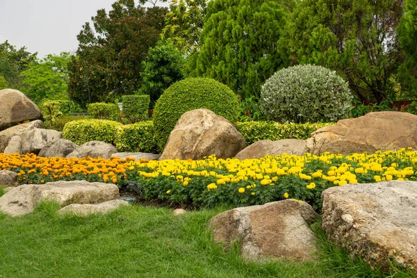 Topiary Garten Gestaltete Gestaltung Mit Hecke Runde Form Des Busches — Stockfoto