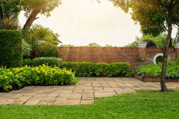 Zurück Und Vorgarten Hüttengarten Blühende Pflanze Und Grünes Gras Rasen — Stockfoto