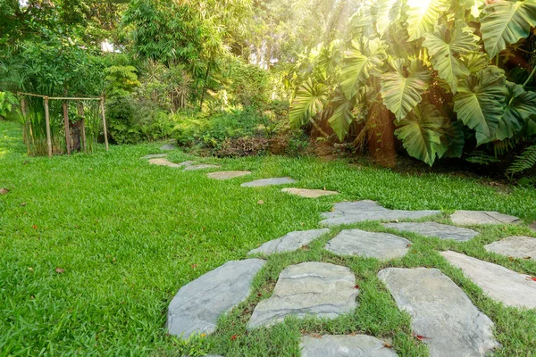 Gris Piedra Pavimento Hormigón Pasarela Césped Hierba Verde Suculenta Planta — Foto de Stock