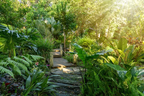 Ponte Madeira Jardim Decorar Com Árvores Vegetação Arbustos Plantas Bom — Fotografia de Stock