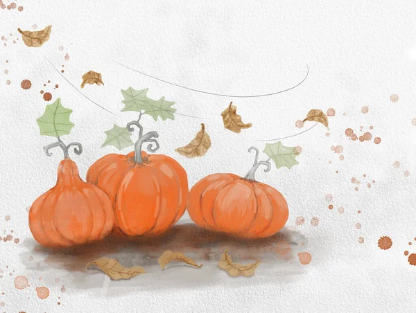 Orangefarbene Kürbisfrüchte Und Herbstblätter Fliegen Illustration Aquarellmalerei Botanische Pflanzenzeichnung Komposition — Stockfoto