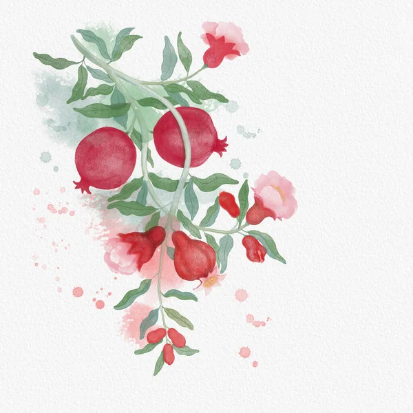 Rote Reife Granatapfelfrucht Illustration Aquarell Pinsel Zeichnung Auf Rotem Und — Stockfoto