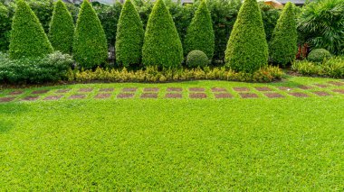 Bahçedeki yeşil çimenler, rastgele beton kaldırım yolu, çiçek açan bitki, çalılık, arka bahçede ve ön bahçedeki ağaçlar, Pubblic Park 'taki bahçeye özen gösterilmiş.